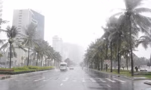 Phía Đông Bắc Bộ ngày nắng, đêm có mưa rào, dông vài nơi