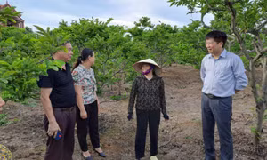 Xứng đáng là điểm tựa vững chắc cho nông dân