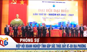 Hiệp hội Doanh nghiệp tỉnh góp sức thúc đẩy KT-XH địa phương