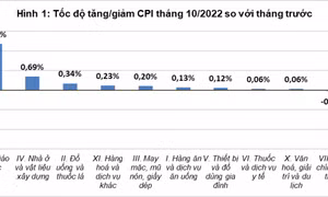 Đâu là nguyên nhân khiến CPI tháng 10/2022 tăng?