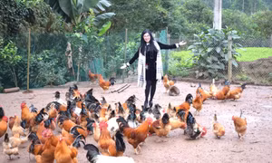 Đến với xã vùng cao Hà Lâu...