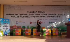 Để môi trường sống thêm xanh