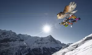 8 đường trượt zipline mạo hiểm nhất thế giới
