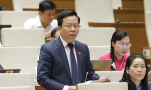 "Lãng phí niềm tin", "lãng phí trách nhiệm" tàn phá ghê gớm, không đo đếm được
