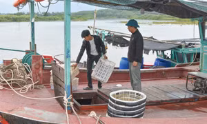 Người chắp mối đoàn kết ở Đầm Buôn (Đầm Hà)
