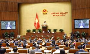Ngày 21/10: Quốc hội bầu Tổng Kiểm toán Nhà nước, phê chuẩn bổ nhiệm Bộ trưởng Bộ Y tế và Bộ Giao thông vận tải