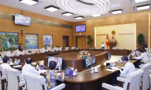 Ủy ban Thường vụ Quốc hội họp cho ý kiến việc tiếp thu 2 dự thảo Luật