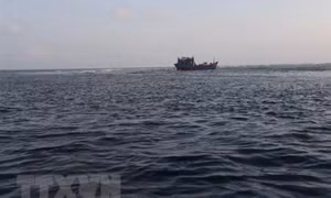 Gió Đông Bắc gây biển động và sóng cao từ 4-6m, miền Bắc trời lạnh