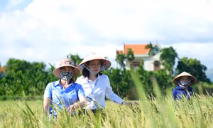 Phát huy vai trò của phụ nữ trong tham gia xây dựng Đảng, chính quyền