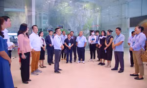 Đại biểu EATOF tham quan điểm đến tại TP Hạ Long và Cẩm Phả