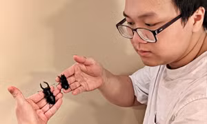 Thú chơi đắt đỏ của người trẻ: Biến côn trùng thành thú cưng
