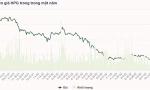 Cổ phiếu Hòa Phát liên tục bị bán tháo