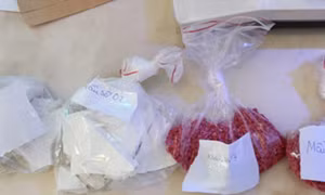 Hai bánh heroin và 4.000 viên hồng phiến giấu trong tải măng khô