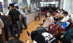 Đình chỉ công tác 7 cán bộ Chi nhánh Văn phòng đăng ký đất đai ở Bình Phước
