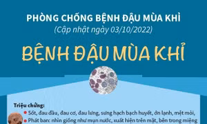 Việt Nam ghi nhận ca đậu mùa khỉ đầu tiên: Khuyến cáo của Bộ Y tế