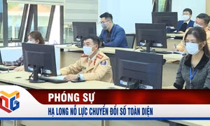 Hạ Long nỗ lực chuyển đổi số toàn diện