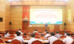 Đảng bộ Khối các cơ quan và doanh nghiệp tỉnh triển khai nhiệm vụ quý IV/2022