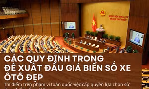 Quy định chi tiết về đề xuất đấu giá biển số ôtô đẹp