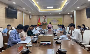 Ban Pháp chế, HĐND tỉnh, thẩm tra dự thảo nghị quyết