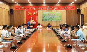 Triển khai kế hoạch sản xuất vụ Đông Xuân 2022-2023
