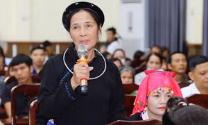 Phát huy quyền làm chủ, khơi dậy sức mạnh của nhân dân