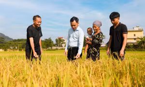 Đẩy nhanh việc thực hiện đặt hàng, giao nhiệm vụ đối với các đơn vị sự nghiệp công