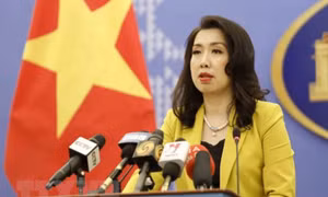 Việt Nam nêu quan điểm việc Nga sáp nhập 4 vùng lãnh thổ Ukraine