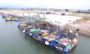 Tàu thuyền nghề cá chật vật tìm nơi neo đậu