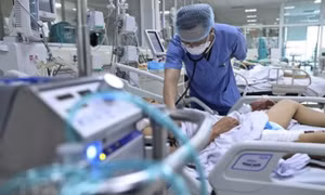 Việt Nam xuất hiện ca mắc bệnh cúm A/H5 trên người sau hơn 8 năm