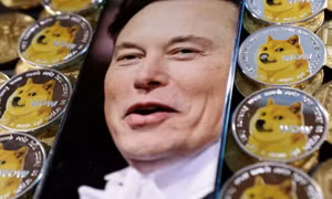 Thương vụ Musk - Twitter khiến memecoin sống lại
