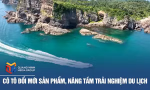 Cô Tô đổi mới sản phẩm, nâng tầm trải nghiệm du lịch