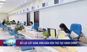 Nỗ lực cắt giảm, đơn giản hóa thủ tục hành chính
