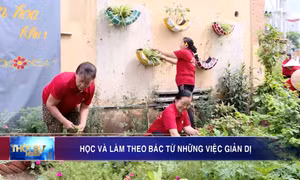 Học và làm theo Bác từ những việc giản dị