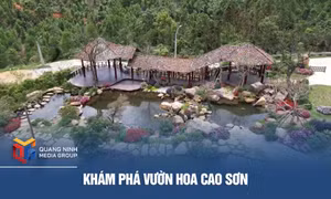 Khám phá vườn hoa Cao Sơn