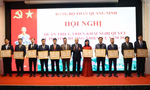 Đảng bộ Than Quảng Ninh triển khai nhiệm vụ năm 2023