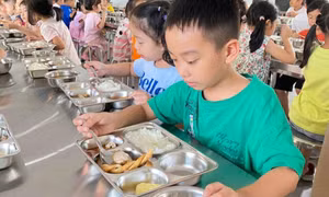Quảng Ninh quyết tâm đảm bảo vệ sinh, an toàn thực phẩm trong các cơ sở giáo dục