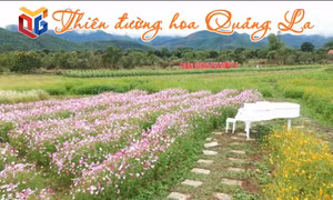 Thiên đường hoa Quảng La