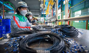 ADB dự báo kinh tế Việt Nam tăng trưởng 7,5% trong năm nay