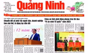Mời tham gia gói thầu Tư vấn đấu thầu dự toán in báo