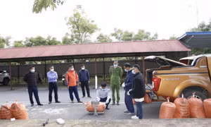Bắt một Phó giám đốc doanh nghiệp vận chuyển hơn 1 tấn chất độc xyanua