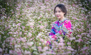 Tam giác mạch Hà Giang - màu hoa gây 'thương nhớ'
