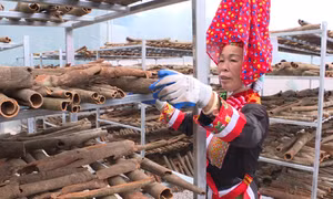 Phát triển nông nghiệp bền vững