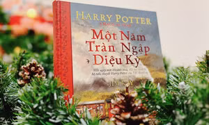 Một năm diệu kỳ cùng 'Harry Potter'