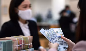 Tỷ giá USD/VNĐ lao dốc