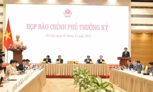 Họp báo Chính phủ thường kỳ tháng 11/2022