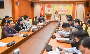 Ban Kinh tế - Ngân sách thẩm tra các báo cáo, tờ trình, dự thảo nghị quyết trình kỳ họp thứ 12 HĐND tỉnh