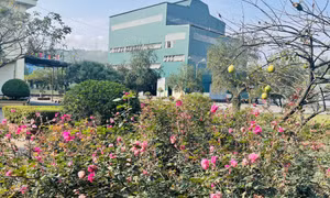 Đưa công viên vào trong nhà máy 