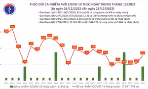 Ngày 23/12: Ca COVID-19 tăng lên 312, có 2 bệnh nhân tử vong