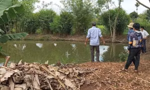 Hai anh em đuối nước dưới ao nước ở gần chòi rẫy
