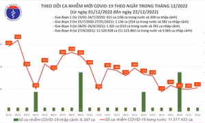 Ngày 22/12: Có 213 ca COVID-19 mới